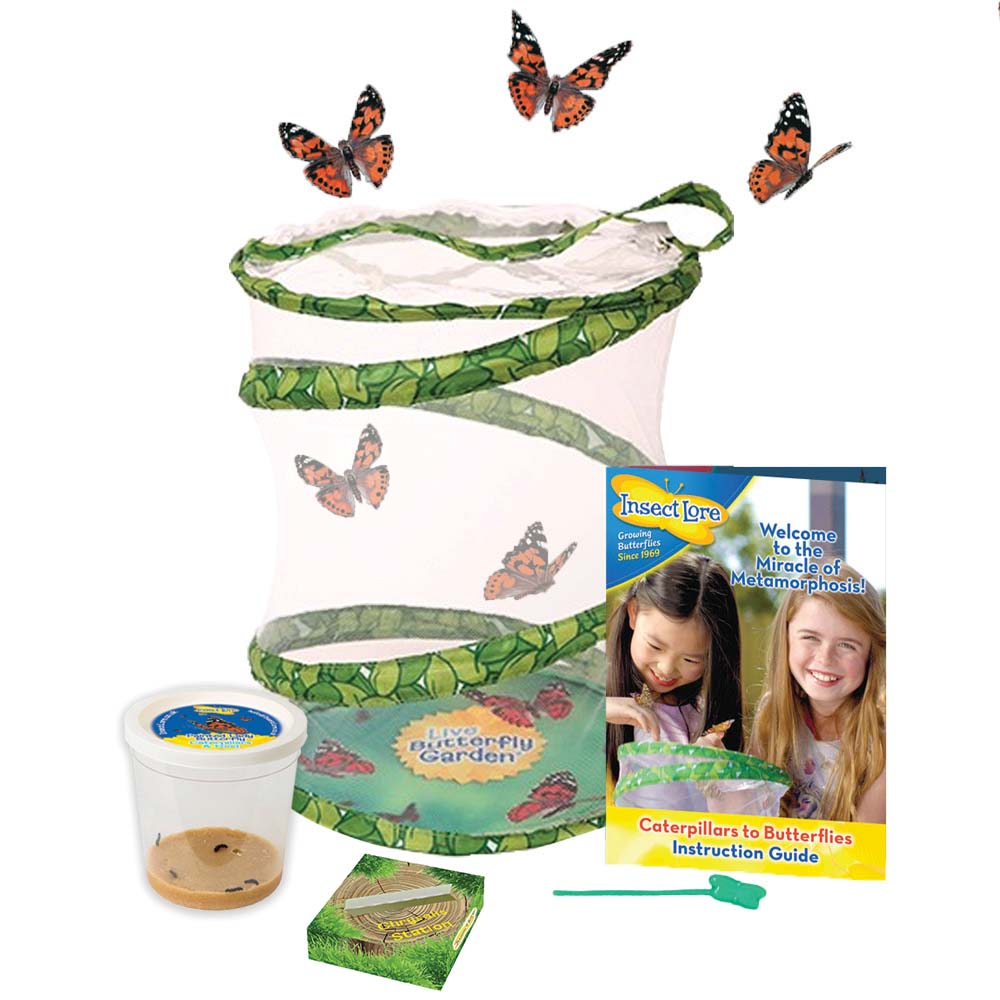 Insect Lore Live Butterfly Garden NIB AGES 4+ 