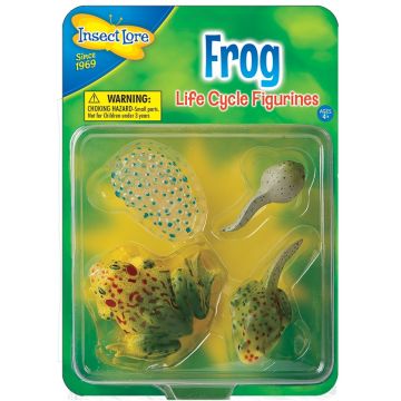 Frog Lifecycle stages. 4 figurines in packaging; Egg, Tadpole, Young Frog, Adult Frog. Plastic and oversized for little hands.