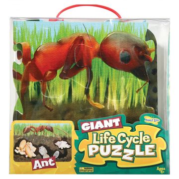 Full finished design of the Ants Lifecycle Foam Puzzle. Shows all four stages of the Ants Lifecycle. 