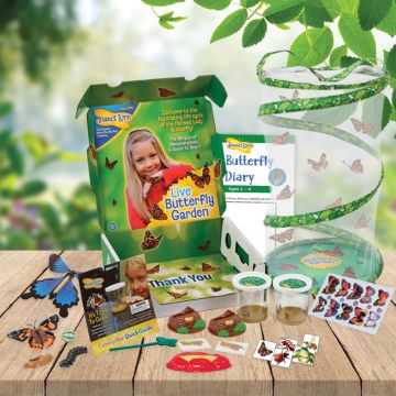 GIANT Butterfly Garden GIFT SET (6-10 Caterpillars)