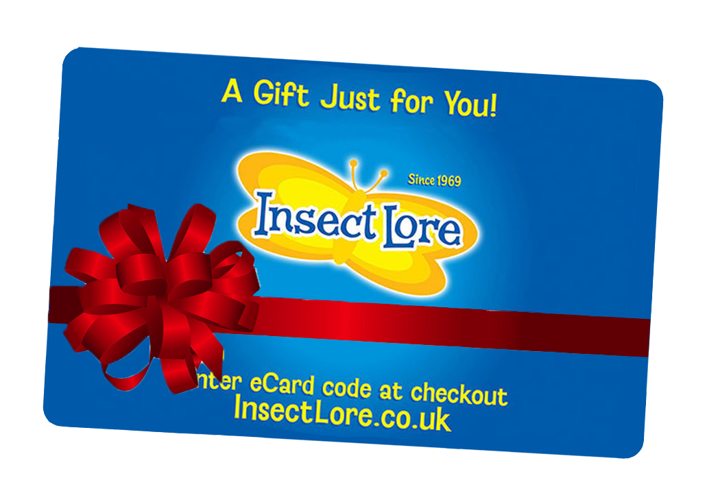 Insect Lore Gift Card Insect Lore