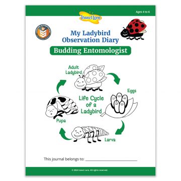 My ladybird observation diary is a learning aid, designed to work alongside our BugLand with ladybird larvae kit.  10 page black and white paper booklet containing fun activities. Observation skills. STEM