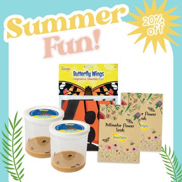 Double the Fun! - Summer Refill Bundle