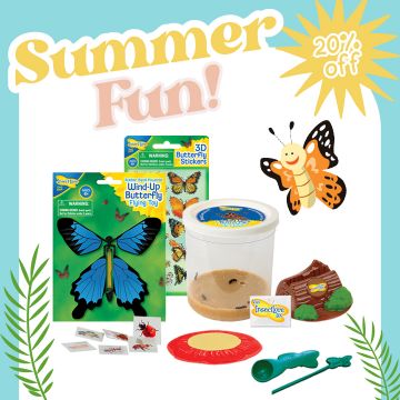 Summer Refill Bundle