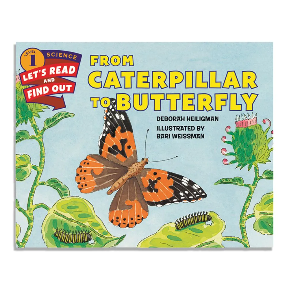 Butterfly Book popular