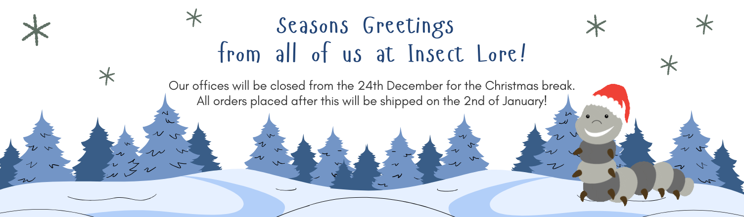 Offices now closed - 23rd Dec - 2nd Jan