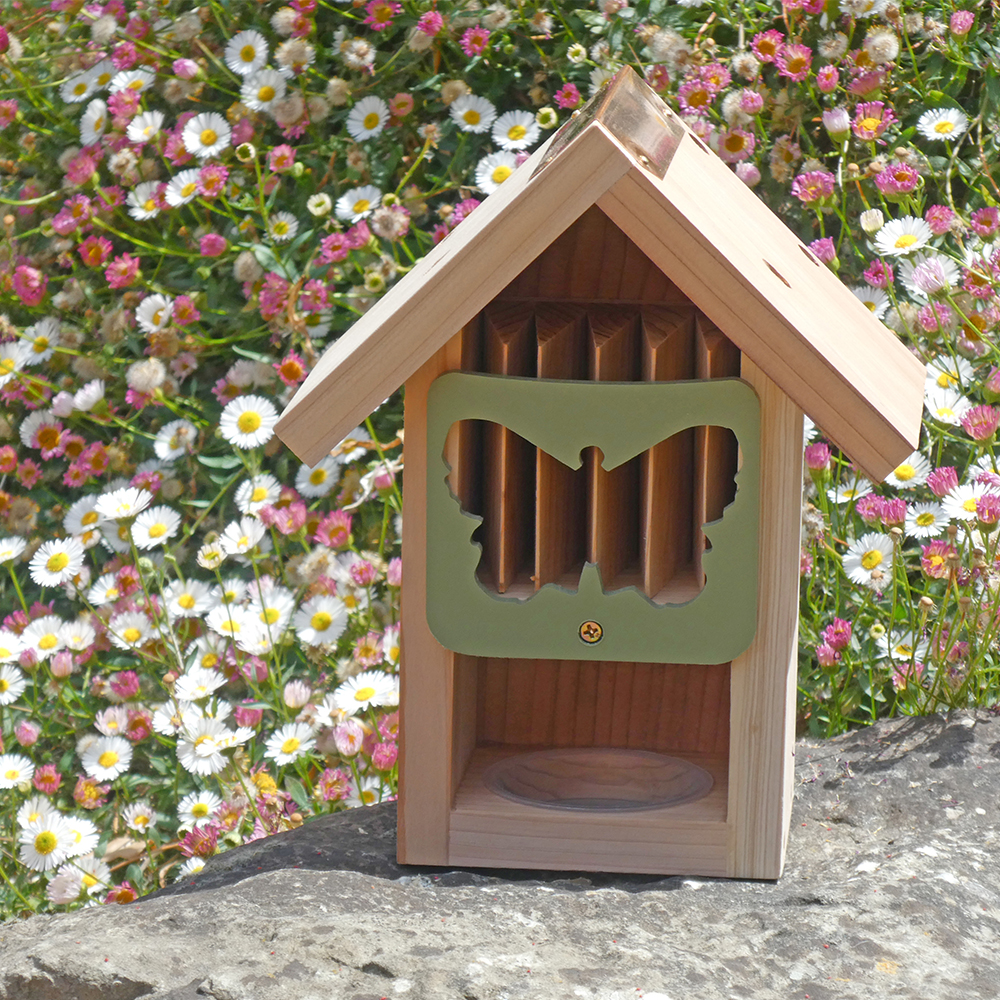 Butterfly Barn | Insect Lore