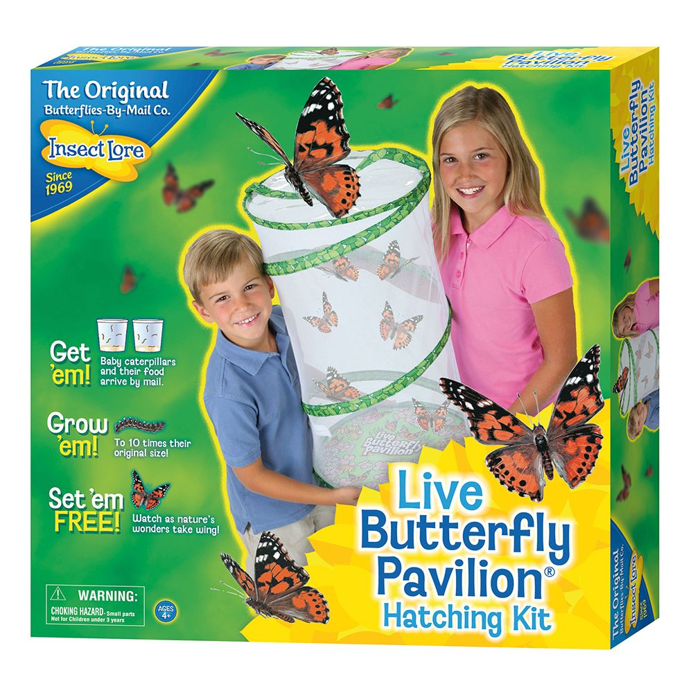 Butterfly Pavilion With 6 10 Live Caterpillars Insect Lore